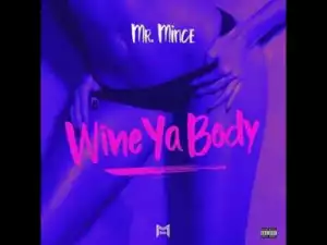 Video: Mr. Mince Feat. Safaree - Wine Ya Body (Remix)